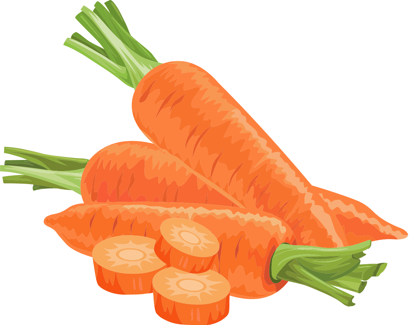 illustration of carrots