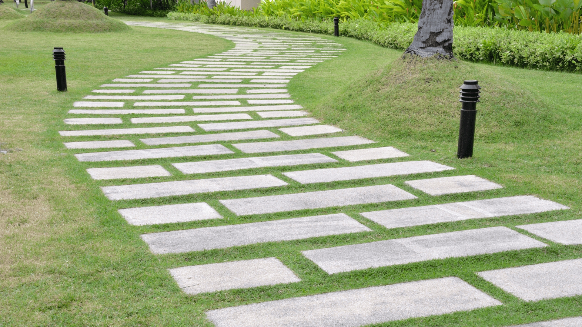 stone pathway through a grassy field