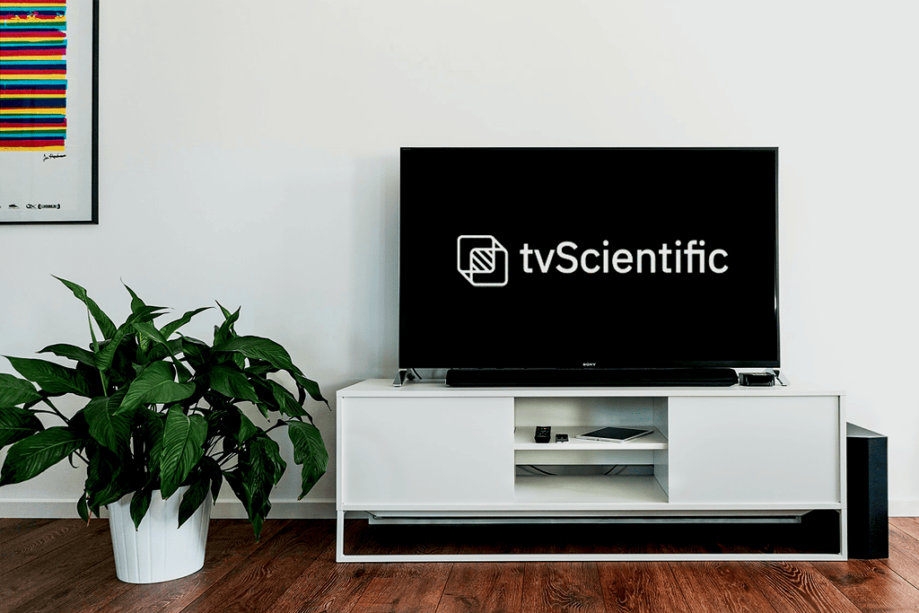 tv in living room
