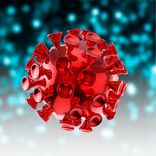 virus