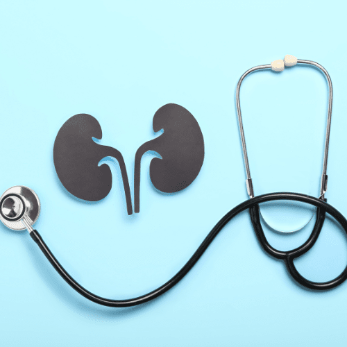 kidney and stethoscope