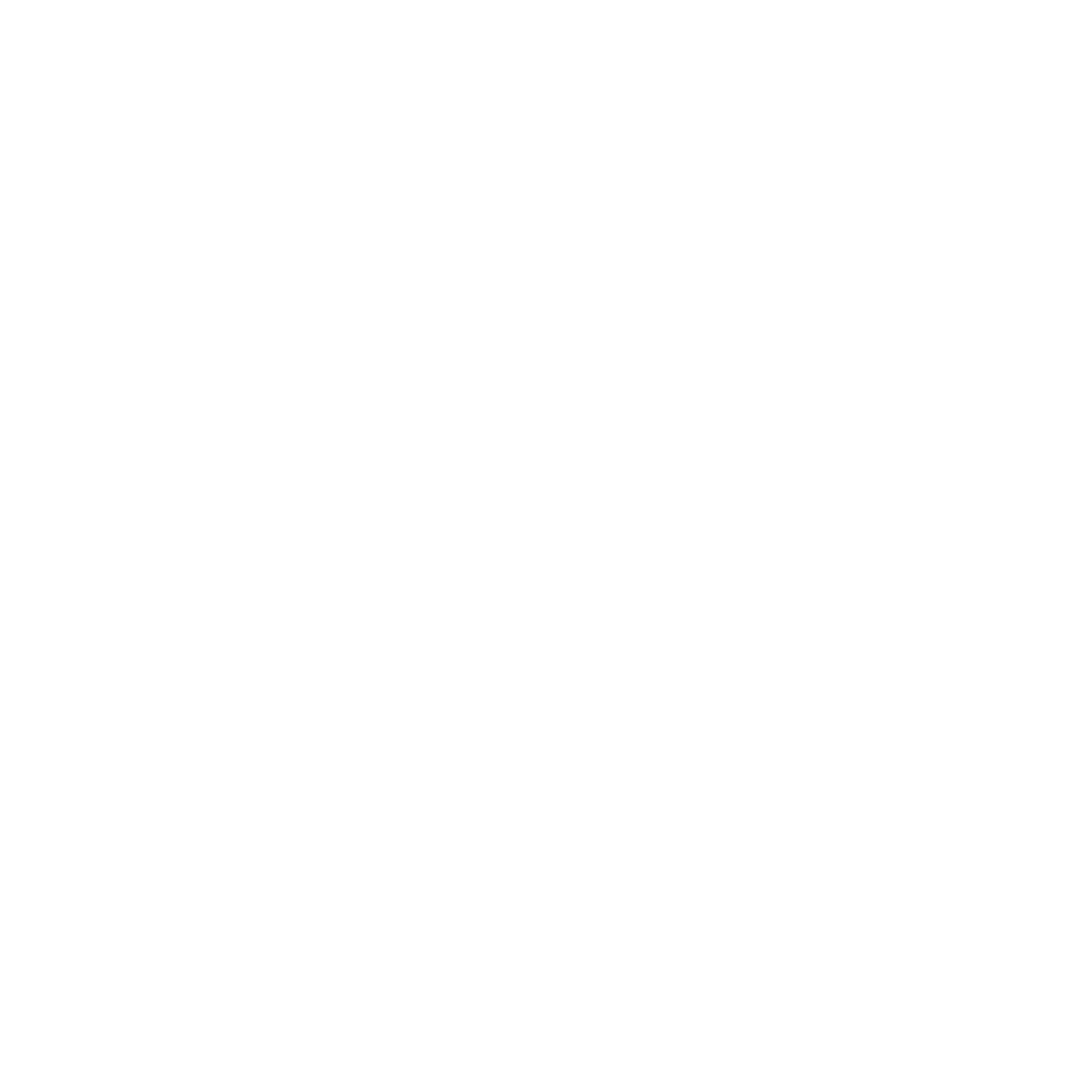 white triangles forming a octagon